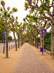 Photo sidewalk for people beside the River Meno