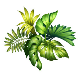 digital botanical illustration, tropical palm leaves colorful bouquet, wild jungle foliage arrangement, floral design isolated on white background