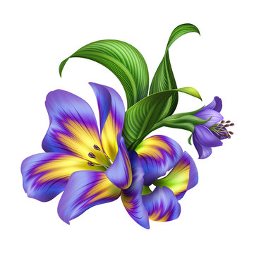 purple yellow flowers green leaves white background clip art preview