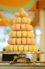 Macaroons on Display in a Bakery