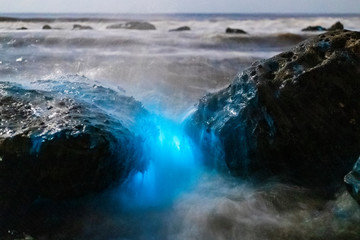 Bioluminescent Tide In San Diego in April and May of 2020 make the water and rocks glow blue at night.