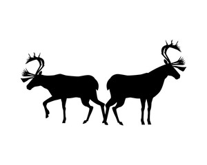 reindeer animal silhouette isolated icon