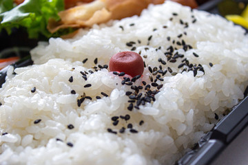 中華弁当　激安198円弁当