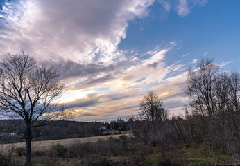 field with blue sky and clouds before sunset