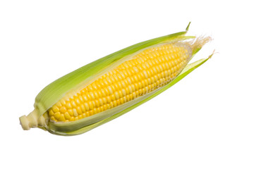 Fresh corn isolated on white background.