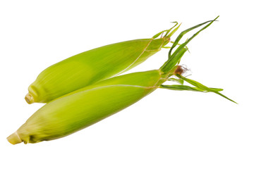 Fresh corn isolated on white background.