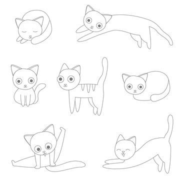 Cat Outlines
