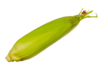 Fresh corn isolated on white background.