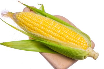 Fresh corn isolated on white background.