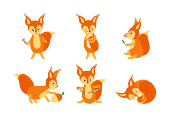 Colorful set of cute squirrels. Standing, sleeping and sitting character picture en face and in profile. Vector illustration in flat style