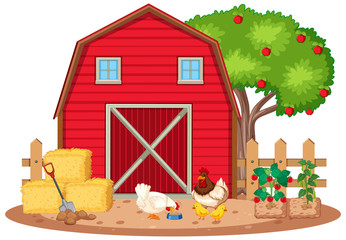 Scene with chickens and vegetables on the farm