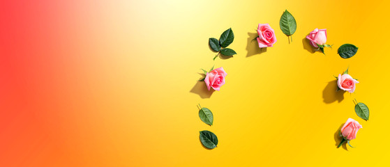 Pink roses with green leaves overhead view - flat lay