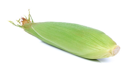 Obraz premium Sweet corn isolated on white background
