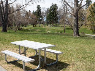 Empty Picnic Table in Public Park