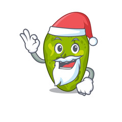 Cyanobacteria Santa cartoon character with cute ok finger