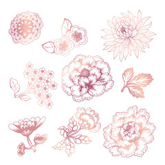Fototapeta premium Peony, Chrysanthemum, sakura, drawn by a contour with a watercolor substrate. Asian flowers in tattoo style. Painted watercolor illustration with traditional symbols of Asia
