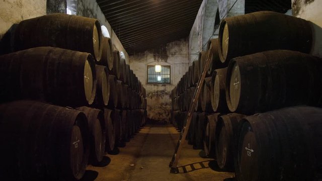 WS&nbsp;ZI Rows of wooden wine casks in wine cellar