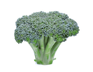 Broccoli isolated on a white background