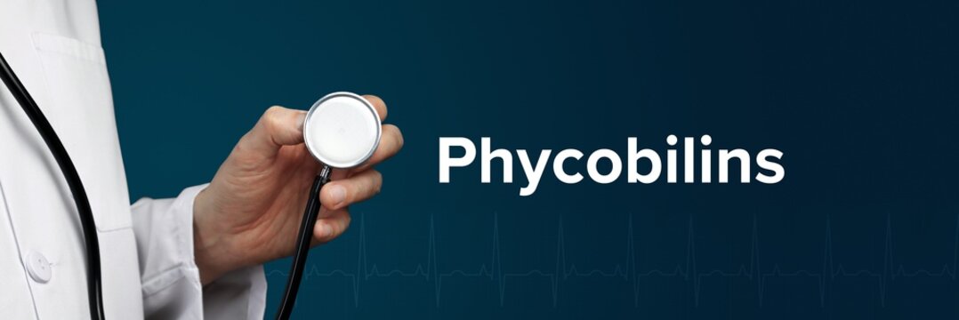 Phycobilins. Doctor in smock holds stethoscope. The term Phycobilins is next to it. Symbol of medicine, illness, health