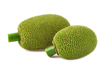 young fruit jackfruit on white background