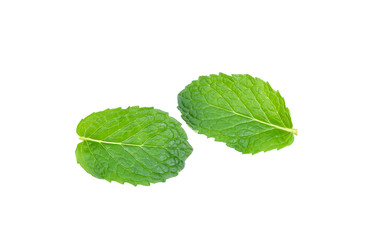 mint leaves isolated on white background