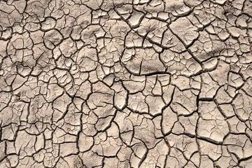 Poster Im Rahmen Ground cracks drought crisis environment background. © r_tee