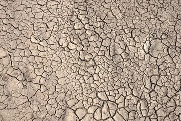 Fotobehang Ground cracks drought crisis environment background. © r_tee