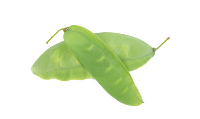 Caesalpinia furfuracea (Prain) Hattink (phak ngwm),vegetable on white
