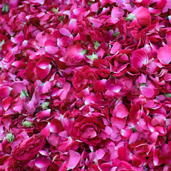 Ghazipur flower market situation in the morning, the flower itself came from China, Vietnam,...