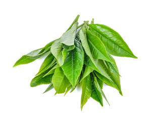 Obraz premium Green tea leaf isolated on white background