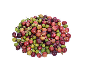 Fresh coffee beans on a white background