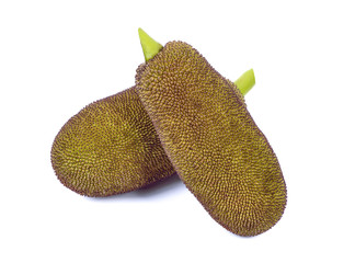 young fruit jackfruit on white background