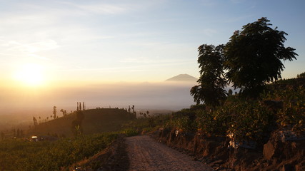 view of a road on the slopes of Mount Sindoro at sunrise with the background of Mount Merapi Merbabu covered in white clouds. Photo taken in July 2019