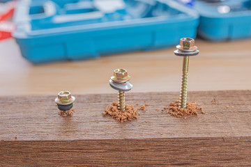 Set of screws into timber wood on wooden top table background. One of them has screw driver on the screw, tapping screws made od steel.