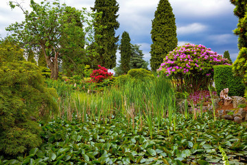 Fragment of a park in Burnaby City, small pond  overgrown with lotus leaves and reeds, surrounded by flowering shrubs and green trees against a stormy sky
