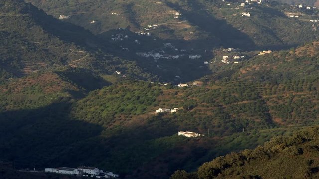 WS TU Olive orchards and Comares village