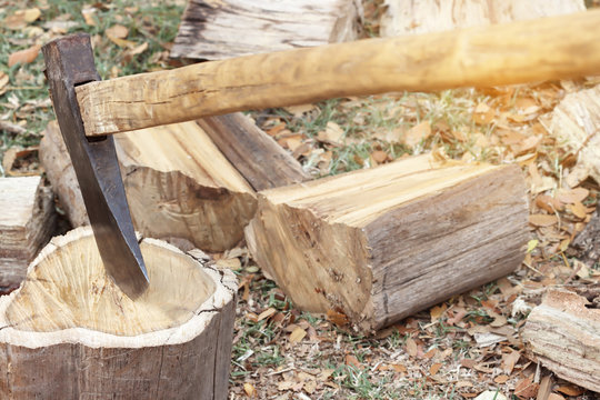Ax wood firewood tree nature