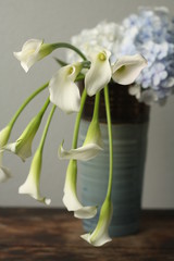 Fototapeta premium クリスタルブラッシュ