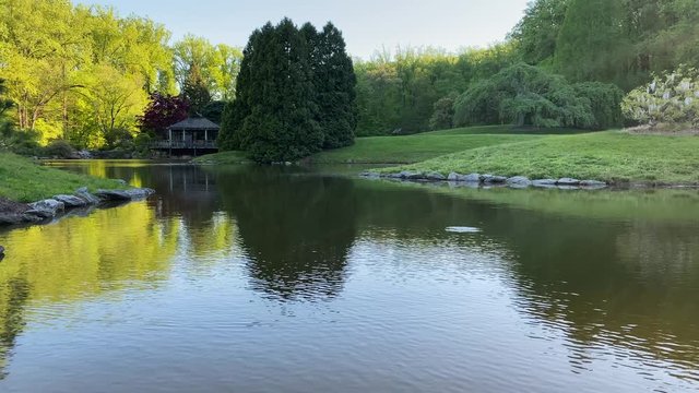A peaceful garden in the springtime