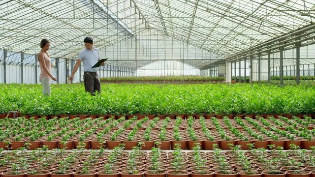 WS DS TS Man with clipboard and woman walking through greenhouse