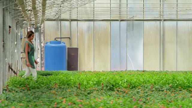 WS TS Man and woman carrying pruning shears&nbsp;while walking through greenhouse