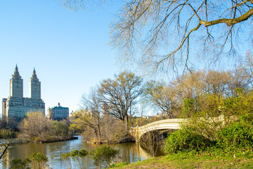 Fototapeta na wymiar The Bow Bridge is a cast iron bridge located in Central Park, New York City, crossing over the Lake and used as a pedestrian walkway.