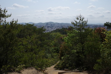 日本の岡山の魚見山から見た町の風景