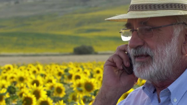 CU Farmer talking on phone in sunflower field