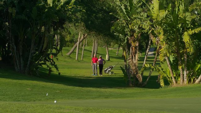 WS&nbsp;Male and female&nbsp;golfers on fairway, man playing ball towards camera