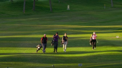 WS TS Four golfers walking along golf course fairway with golf bags