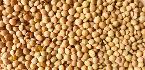 Green lentils pattern. Natural organic lentils for healthy. texture of lentil