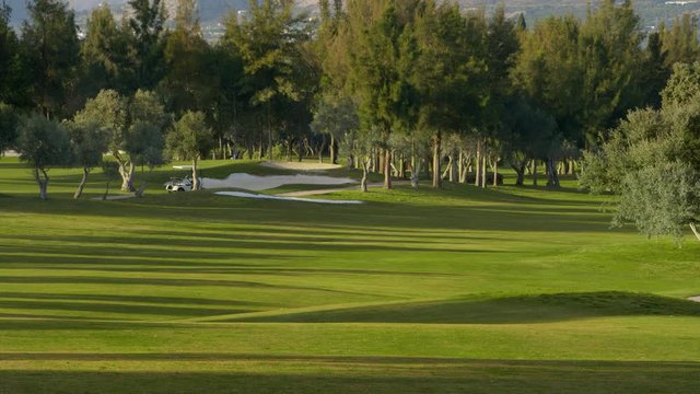 WS Golf course with trees