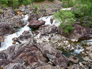 mountain river in summer