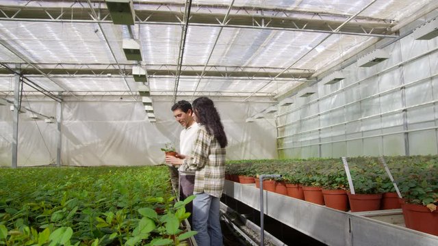 WS&nbsp;TS Woman and man looking at plants and walking through greenhouse